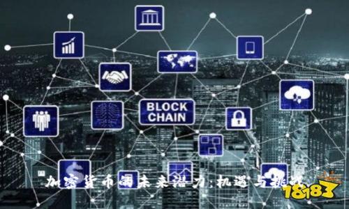 加密货币的未来潜力：机遇与挑战